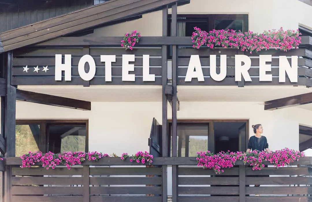 Hotel Auren-1
